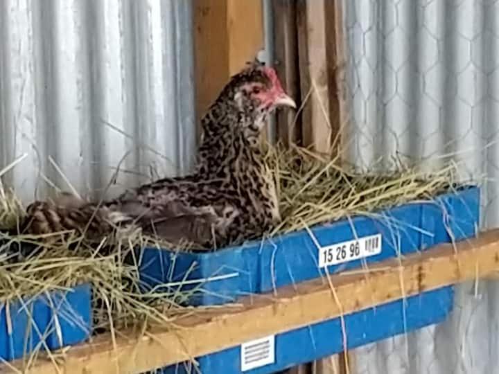 Belle Maison Du Quercy Septfonds Zewnętrze zdjęcie